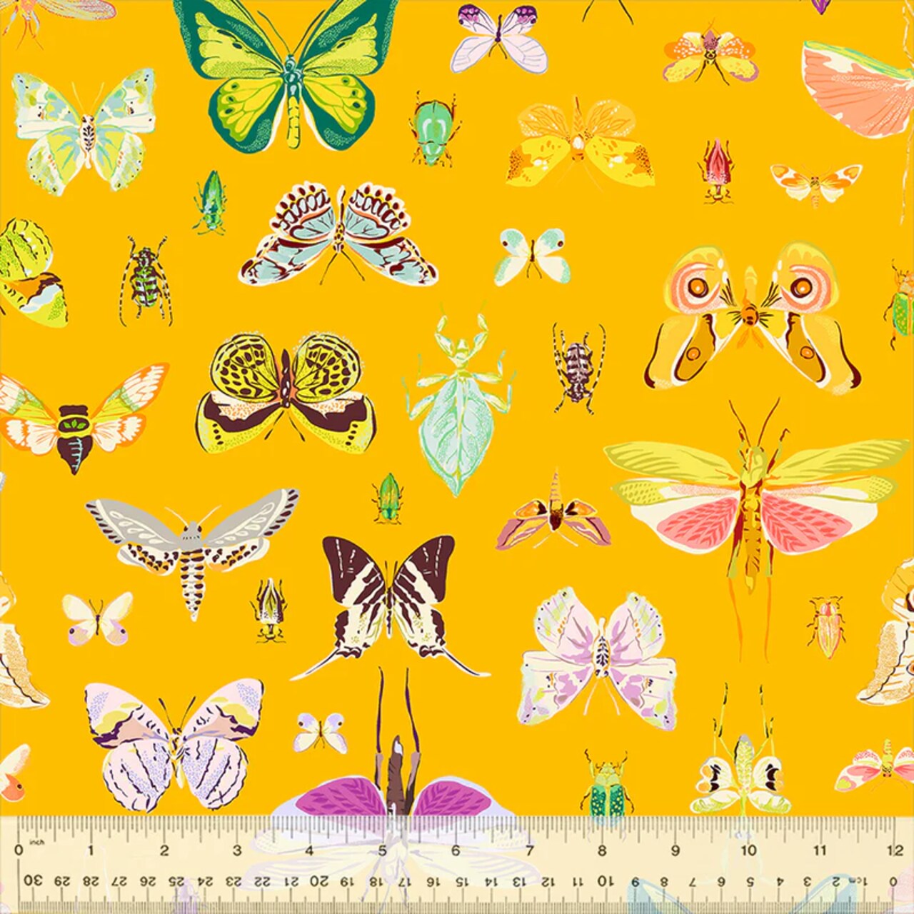 Fabric Windham Amber On Display Insectarium by the Quarter Yard 54652-1